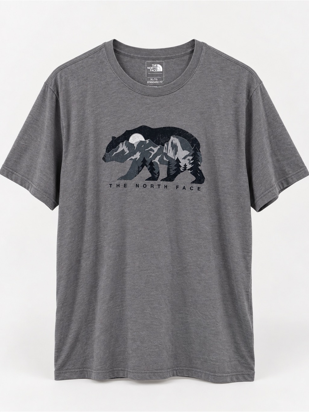 The North Face Bear Mountain Graphic T-Shirt Men’s XL Gray Standard Fit Outdoor